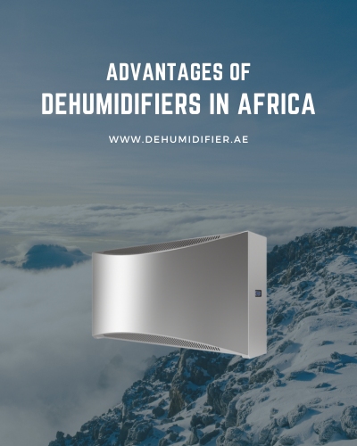 Dehumidifier supplier in Africa